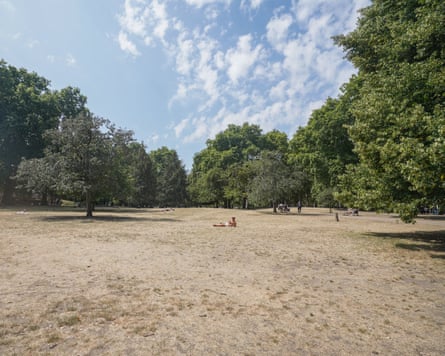 A park under blue skies, with all the grass dead and brown