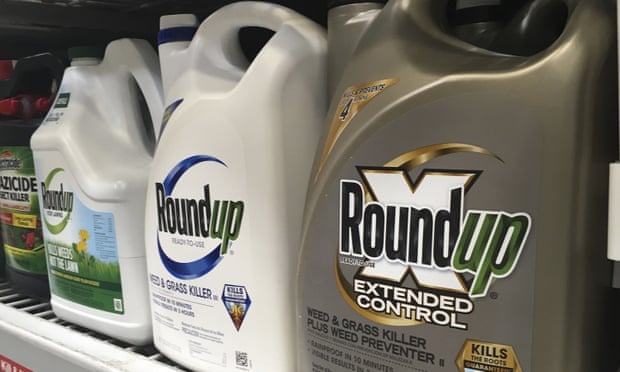 jury in federal court in San Francisco will decide whether Roundup weed killer caused a California man’s cancer.
