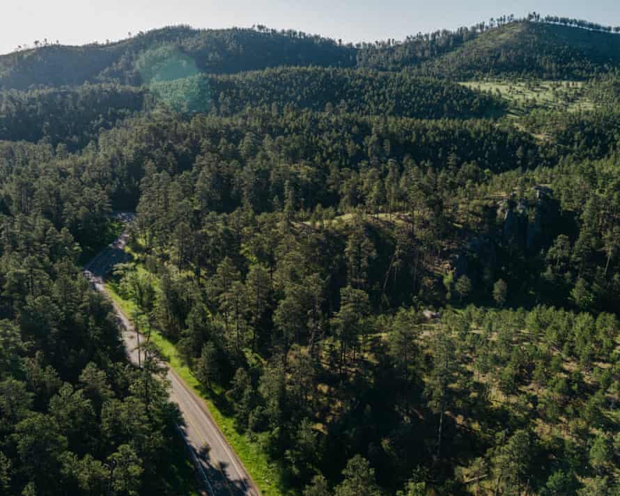 Black Hills National Forest.