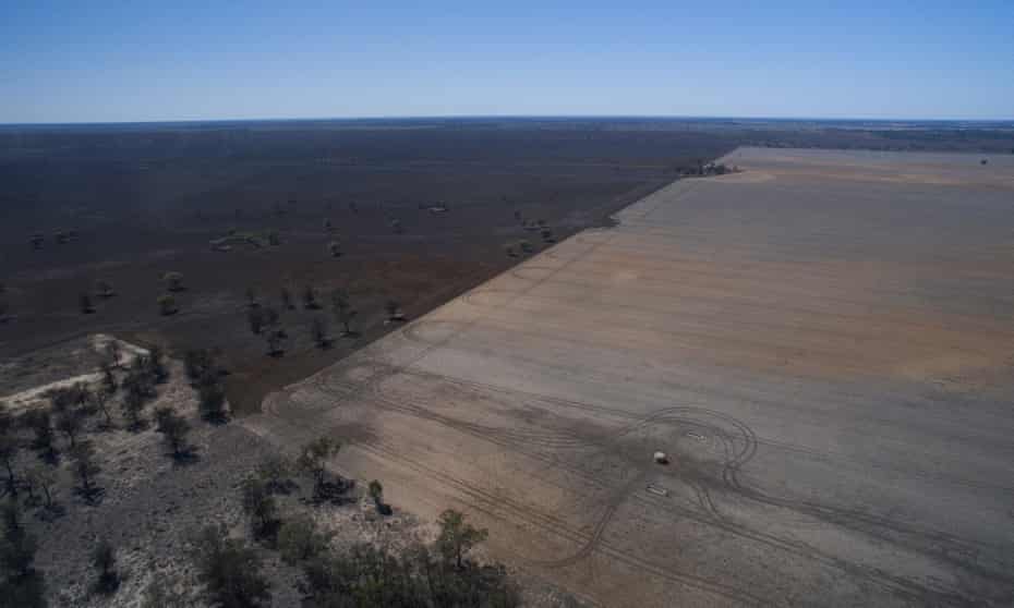 Land clearing in northern New South Wales