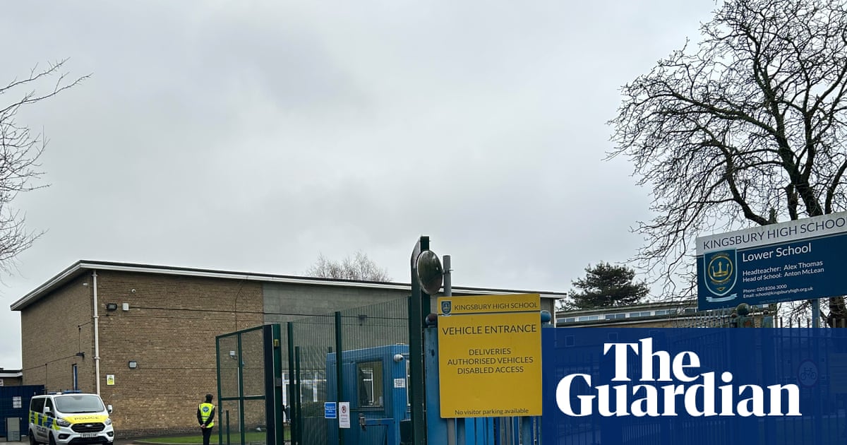 Suspect in stabbing of two boys at north London school is former pupil