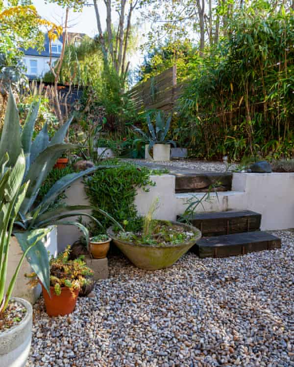 Sloping off: the newly landscaped garden.