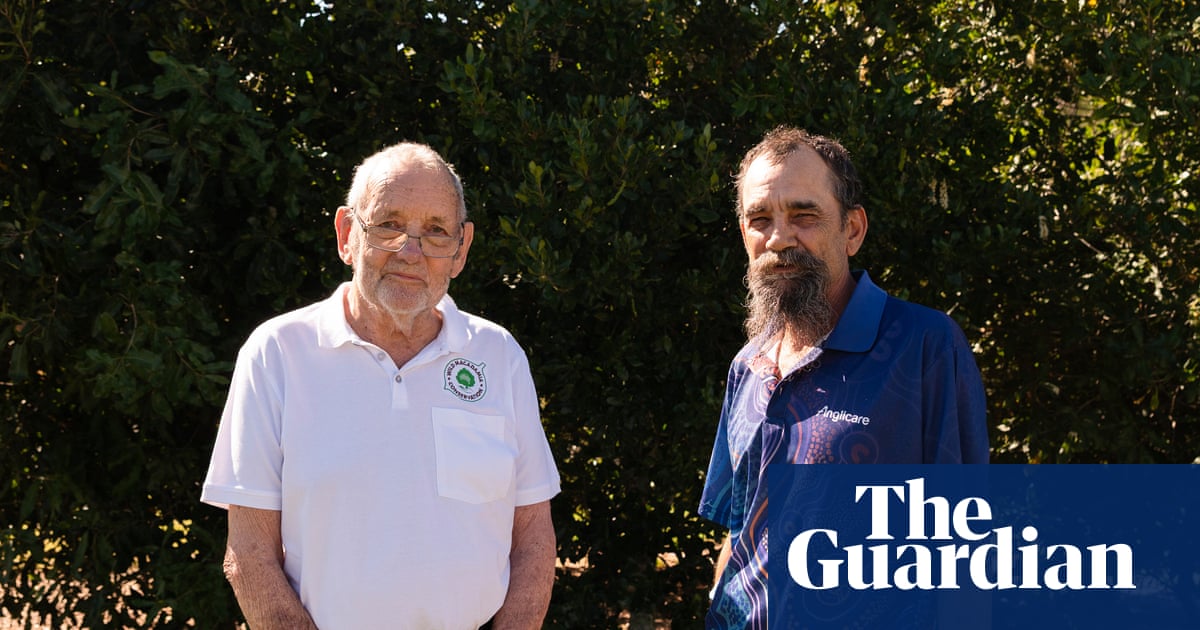 Could the macadamias hidden in Queensland’s rainforests be the key to saving ‘the world’s finest nut’?