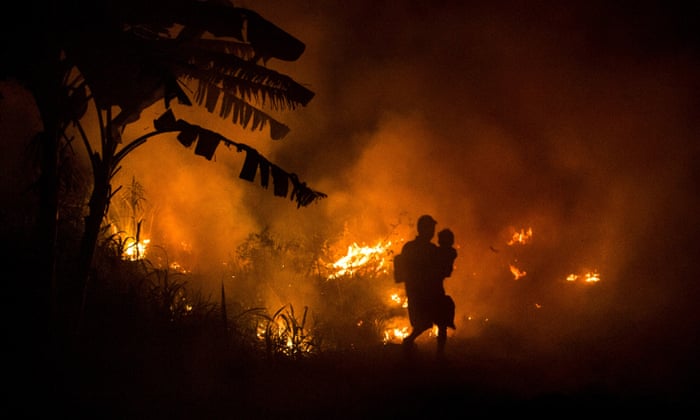 Indonesia is burning. So why is the world looking away? | George Monbiot | The Guardian