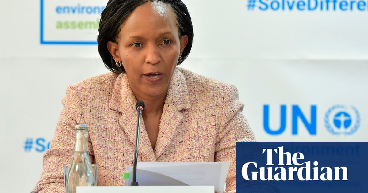 Arctic temperature rises must be urgently tackled, warns UN