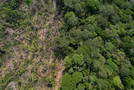 Aerial shot of he border of rainforest and clearcut land