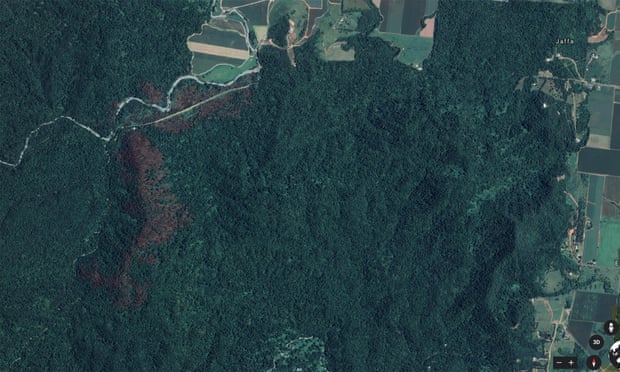 Google earth image of fire damage to the rainforest