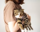The unsettling rise of cat seducers: ‘My little companion was missing – and I was consumed with anger’ The unsettling rise of cat seducers: ‘My little companion was missing – and I was consumed with anger’