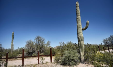 A cactus is seen next to the metal fence along the border between Mexico and the Arizona desert. A US congressman is calling for an environmental impact assessment before any border wall is built.