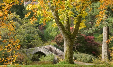 The Swiss Bridge in Scrape Glen at Dawyck Botanic Garden.