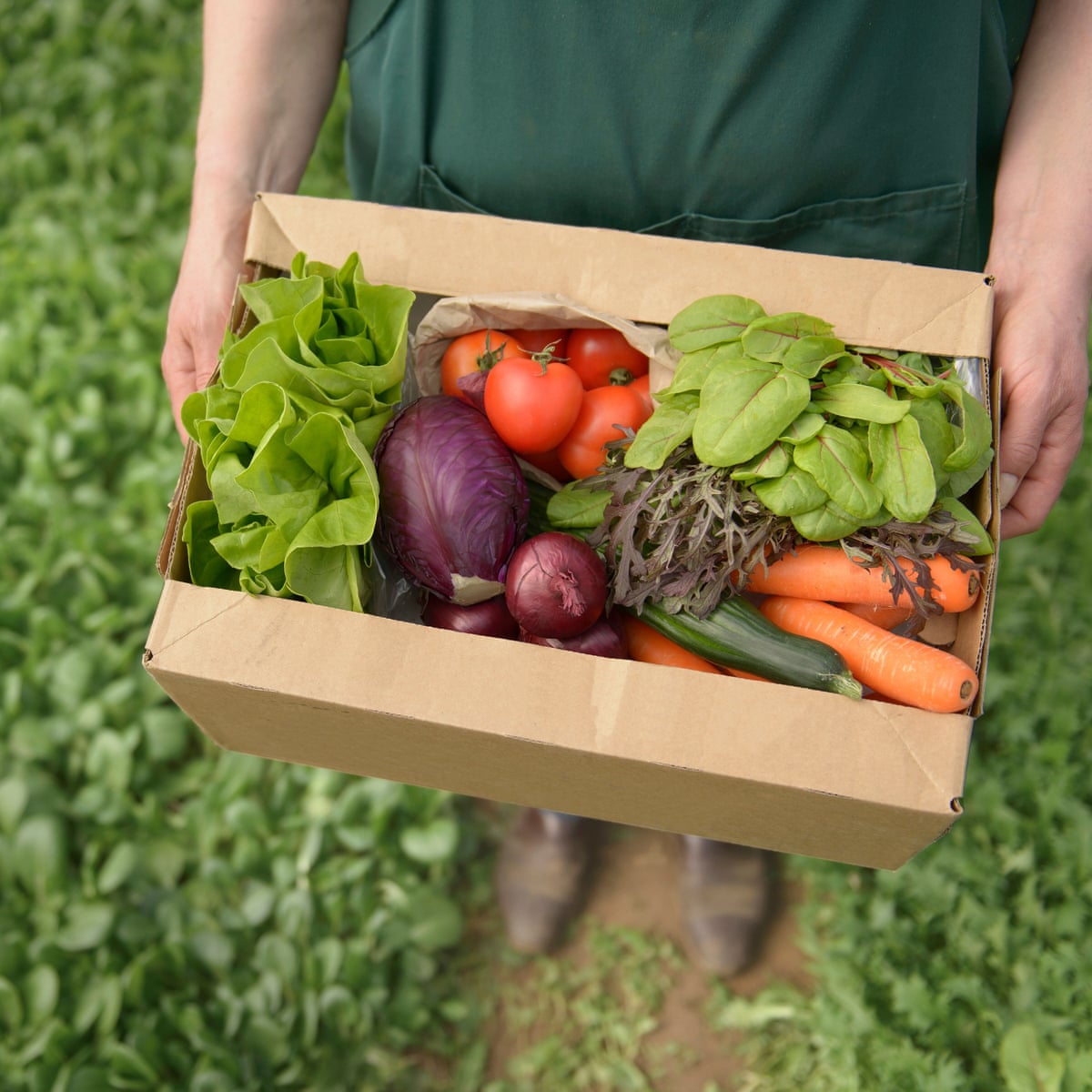 Plan unveiled to increase share of land farmed organically in England to 10%