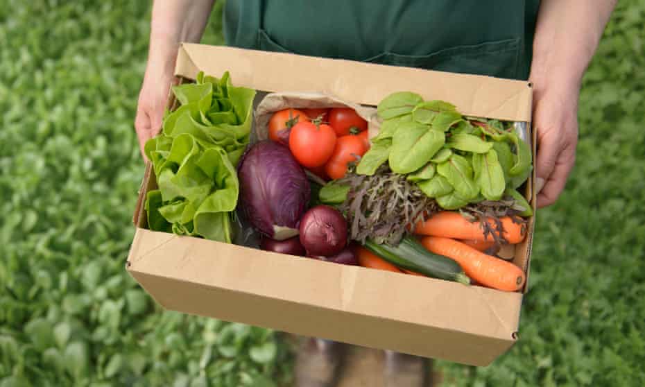Sales of fresh organic vegetables are up by 15%.
