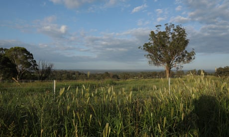 Mulgoa resident and conservationist Lisa Harrold who has been campaigning for better conservation outcomes for the people of western Sydney for more than 30 years. She ran as an independent at the 2007 election, but agreed to run a dead campaign after both parties made conservation commitments for the region, including two permanent parks: Shanes Park and Orchard Hills. Neither was delivered and they are now being claimed as offsets for government developments.
