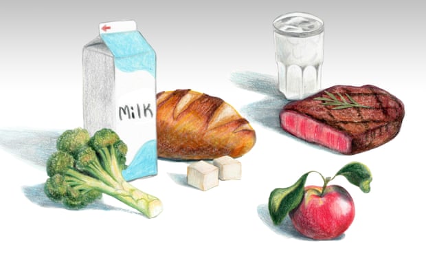 Plant Based Diet Illustration