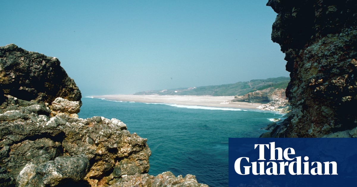 ‘Her lust for adventure was honey for me’: readers’ favourite travel books