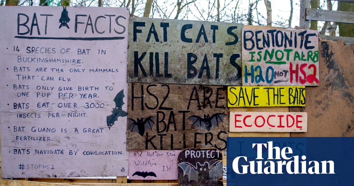 Wildlife charities urge Labour to scrap licence to kill nature' in planning bill
