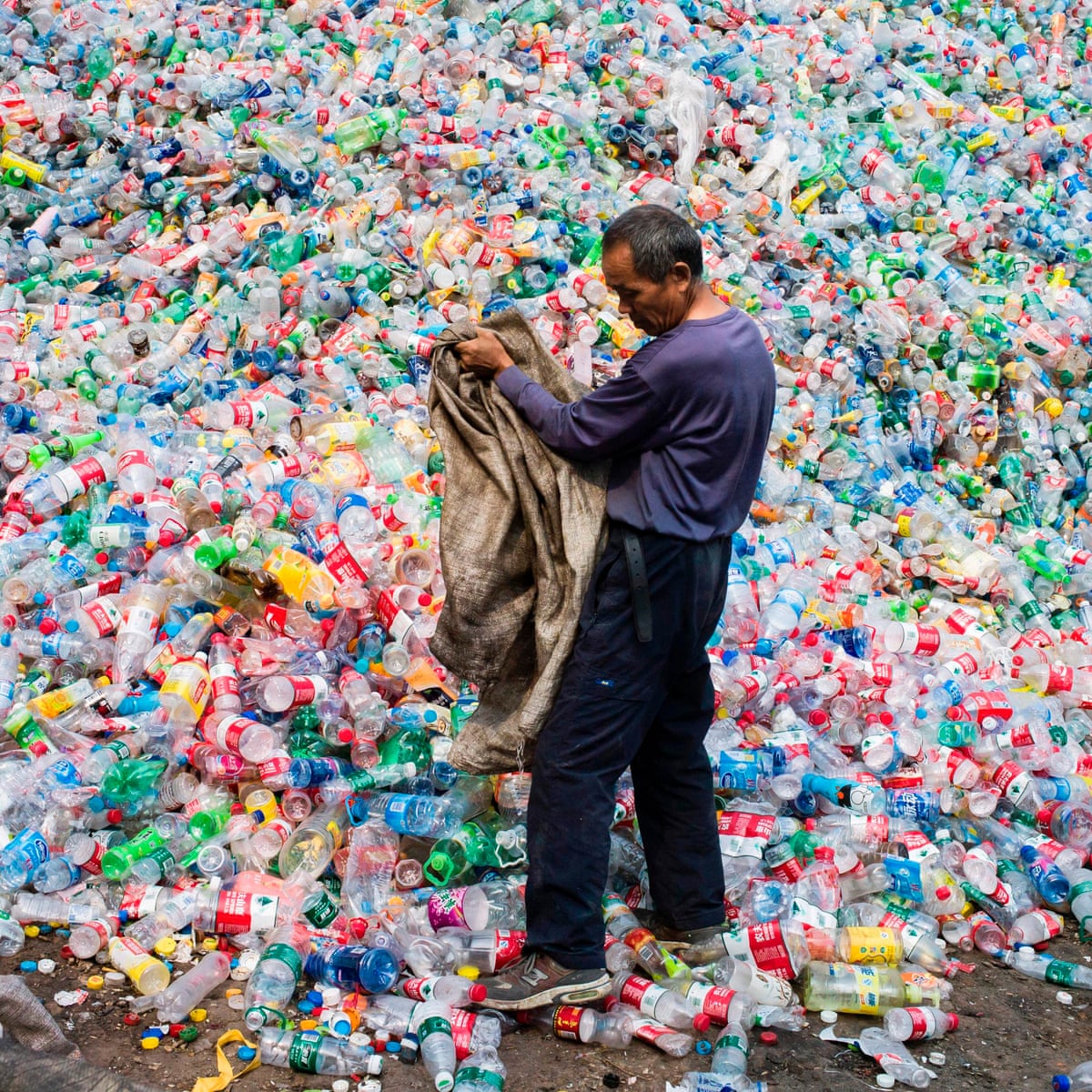 Scientists Accidentally Create Mutant Enzyme That Eats Plastic Bottles Plastics The Guardian Scientists Accidentally Create Mutant Enzyme That Eats Plastic Bottles Plastics The Guardian