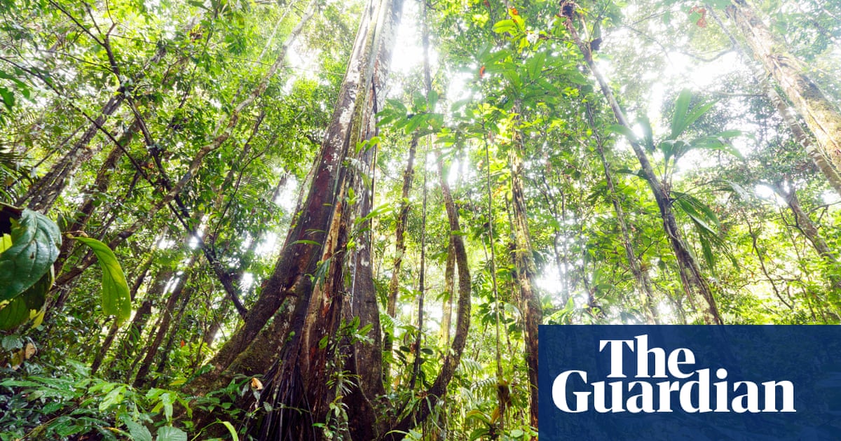 Climate crisis: Amazon rainforest tipping point is looming, data shows