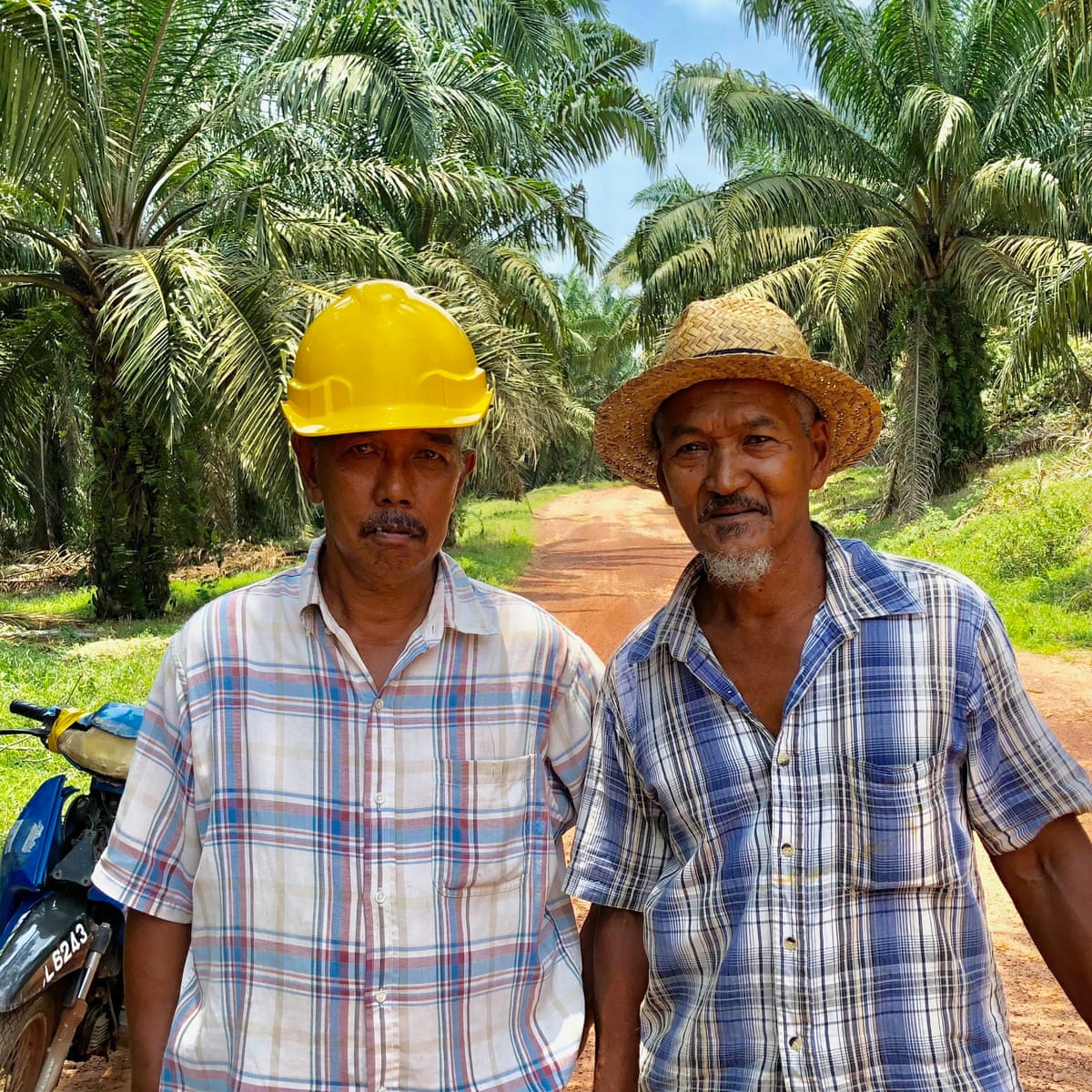 How Palm Oil Ban Has Made The Eu A Dirty Word In Malaysia Malaysia The Guardian