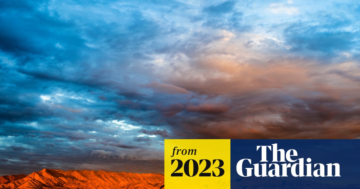 www.theguardian.com