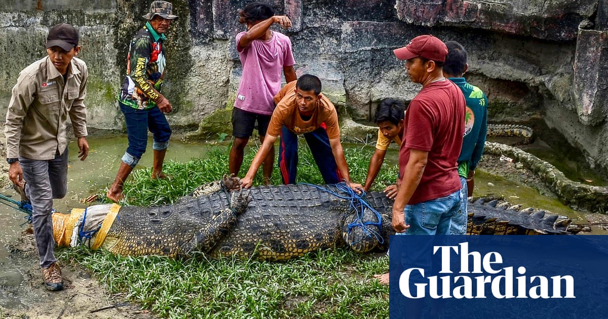The week in wildlife – in pictures | Environment | The Guardian