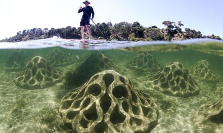 Erosion mitigation units installation in Geelong, Victoria by Alex Goad’s Reef Design Lab