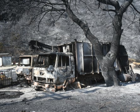 Two burned out lorries under a charred tree