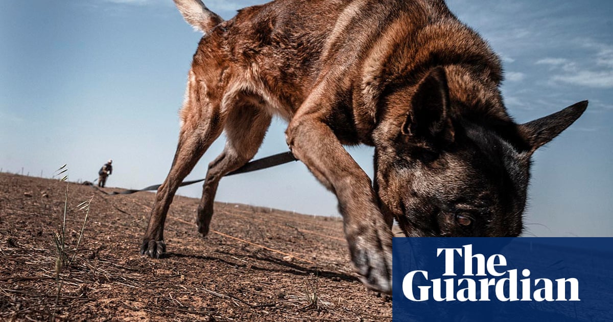 1271.jpg?width=1200&height=630&quality=8