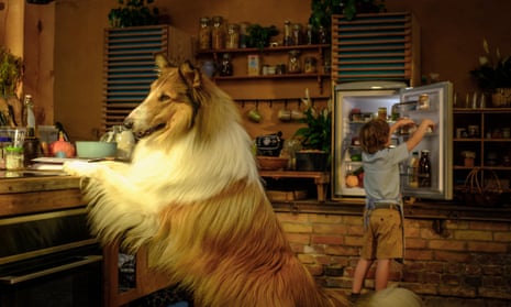 Lassie sits up at a kitchen counter in Lassie: A New Adventure.