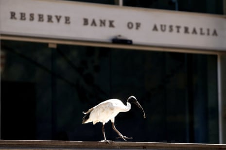 An ibis bird perches next to the Reserve Bank of Australia headquarters in Sydney