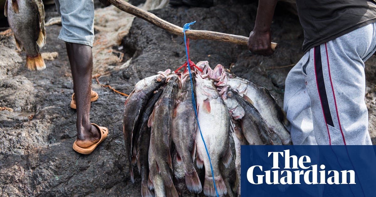 The Battle For Migingo Island Can Fish Farming Be A Peacemaker In Pictures Guardian Sustainable Business The Guardian The Battle For Migingo Island Can Fish Farming Be A Peacemaker In Pictures Guardian Sustainable Business The Guardian