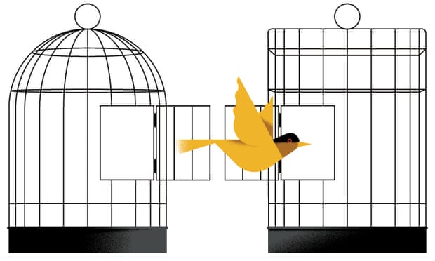 Illustration of a bird flying from one cage into another