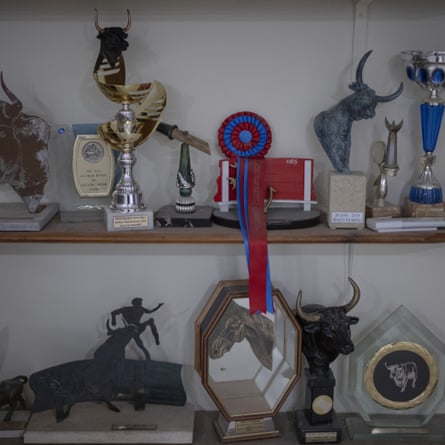 Une cocarde et une collection de trophées décernés pour une forme de tauromachie locale.