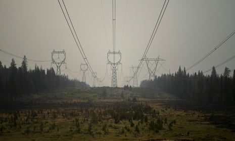 power lines over trees and burnt area