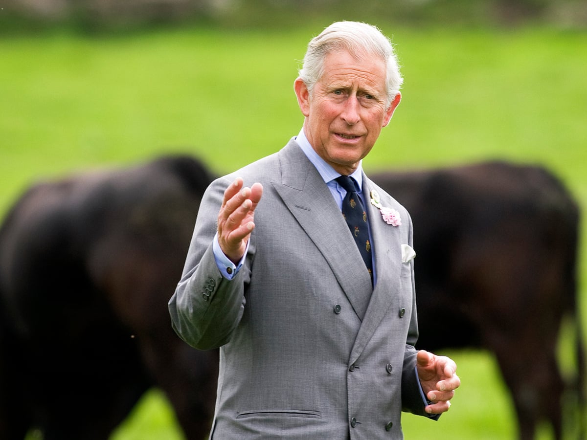 I was told I was a complete idiot' about organic farming, Charles said day before becoming king | King Charles III | The Guardian