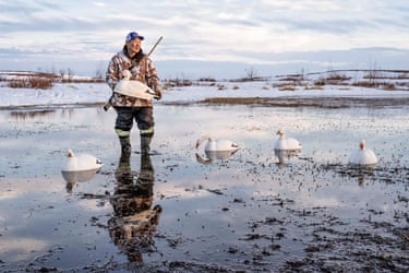Here, a local hunter stands on the tundra in an area of snowmelt, using decoy geese to lure the birds