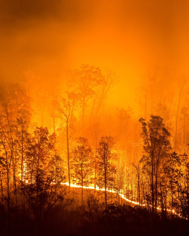 A wildfire burns uphill in the Appalachian mountains