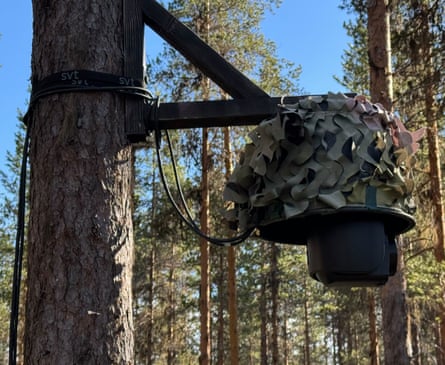One of the production’s cameras up a tree.