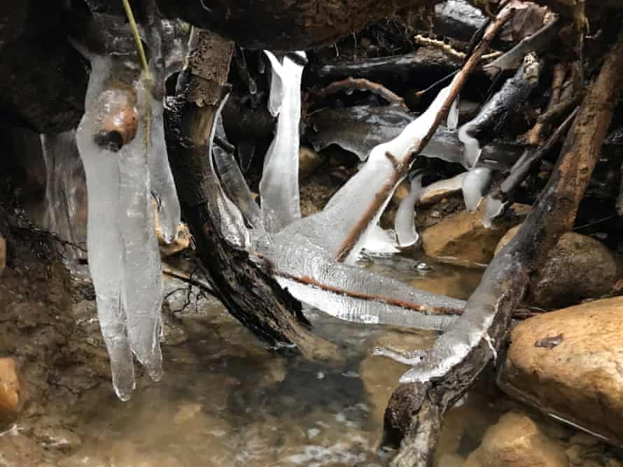 Icicles at Great Merrible Wood