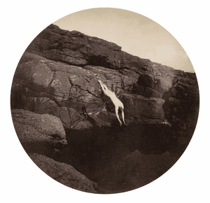 The Skerry Pool, Portrush, Ireland, aristotype print, 1892