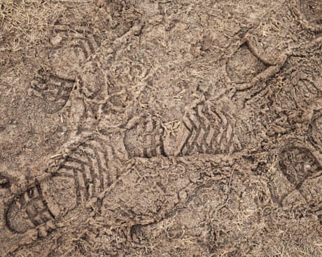 Country diary: Hooray for the hard, frozen ground – life on Earth depends on it | Ed Douglas