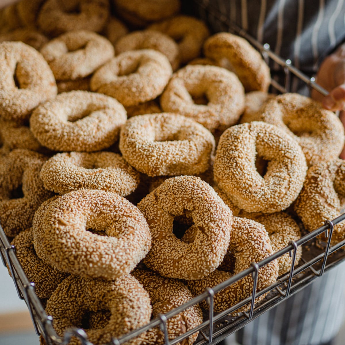 New York Bagel Recipe new-york-bagel-recipe
