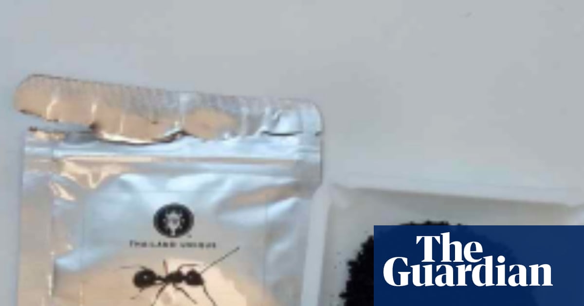 Michelin-starred restaurant owner in South Korea faces jail over ant dessert