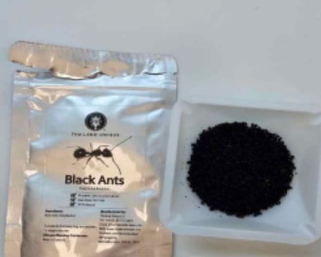 A plastic tray of dried ants next to a vacuum-packed pouch labelled 'Black Ants'