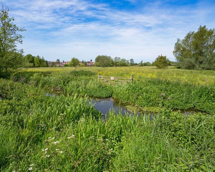 Nature recovery plan in England hit by clause allowing contracts to end with a year’s notice