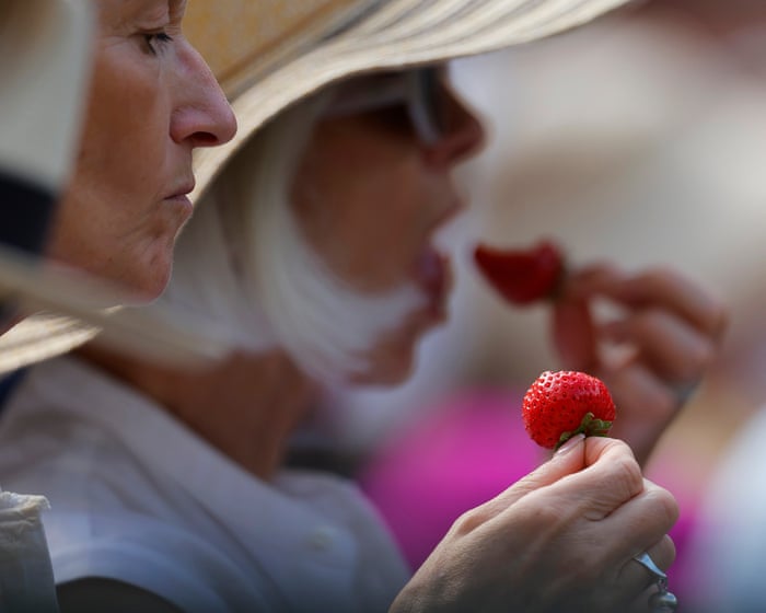 Spit, polish and strawberries: Wimbledon ignores the real world to perfection