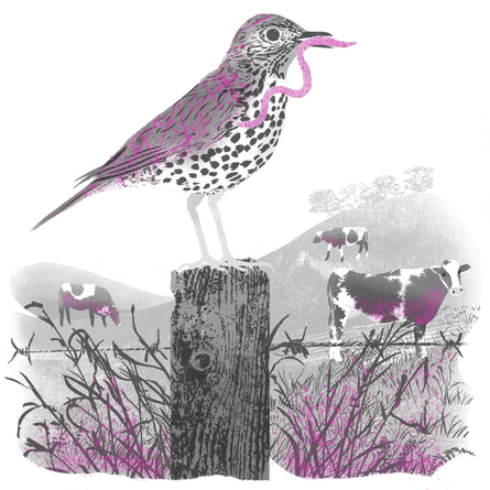 Superimposed image of plastics in the bird, in the cows, in the worm and in the plants Superimposed image showing plastics in the fish, in the bread and in the milk that were featured in the previous illustration.