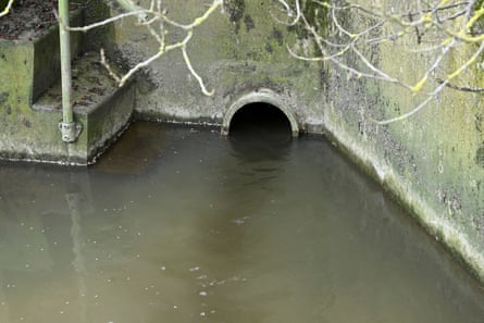 Untreated sewage is discharged from a treatment works