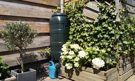 A green rain barrel with a blue watering can in a beautiful botanical garden