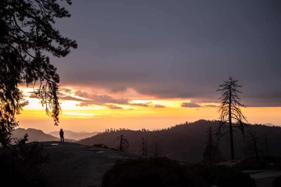 A dead tree is silhouetted against the setting sun in Sequoia national park.